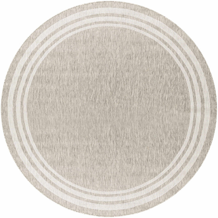 Solid Beige and Ivory Indoor and Outdoor Multi size Area Rug - The Rug Decor