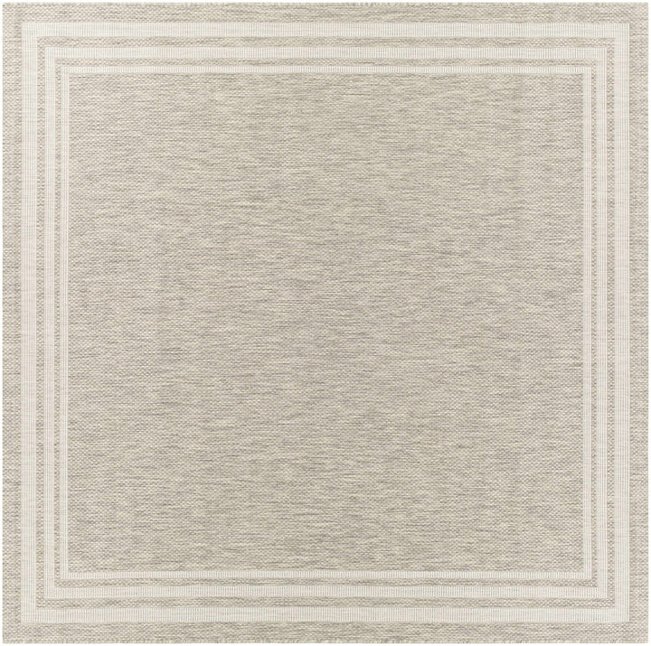 Solid Beige and Ivory Indoor and Outdoor Multi size Area Rug - The Rug Decor