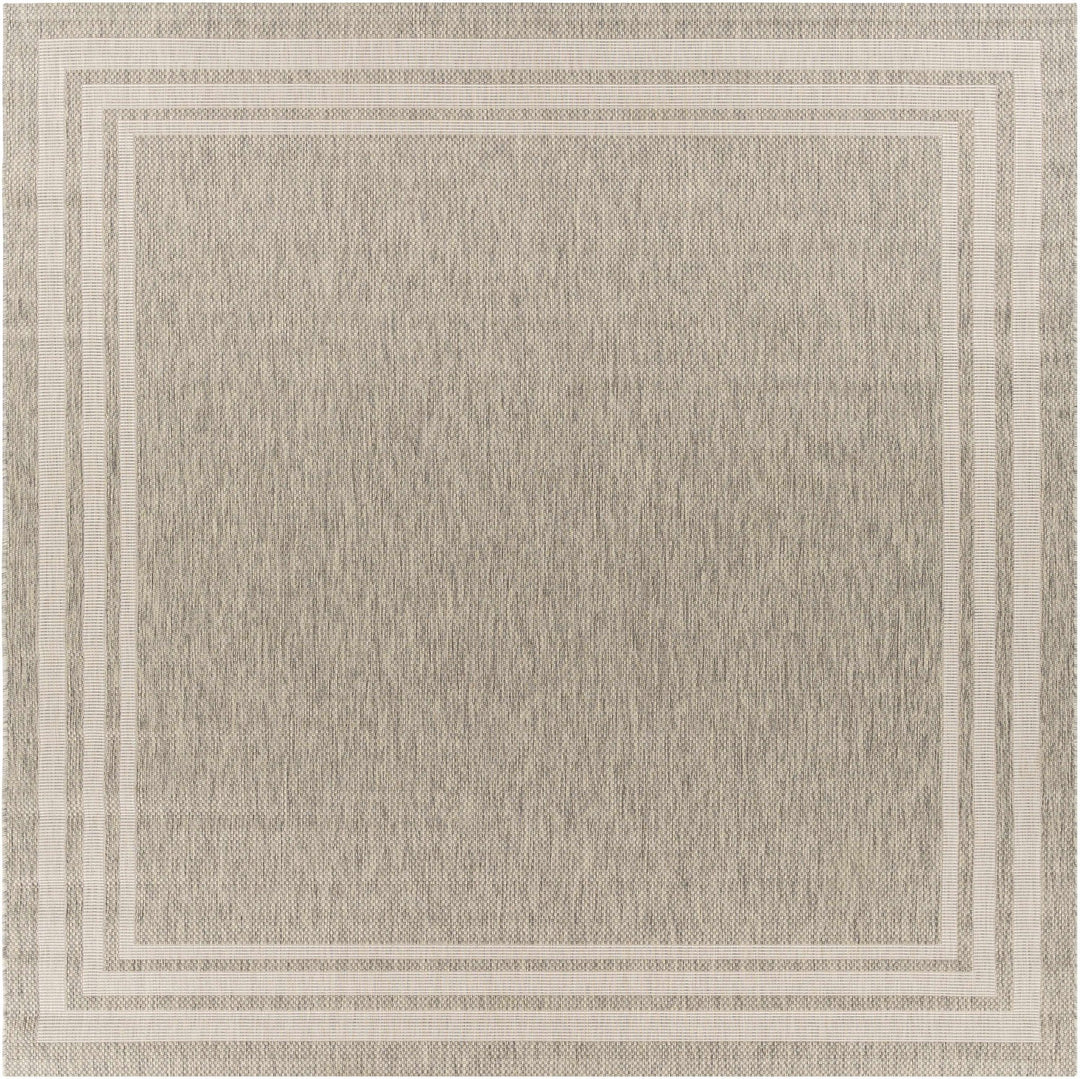 Solid Beige and Ivory Indoor and Outdoor Multi size Area Rug - The Rug Decor