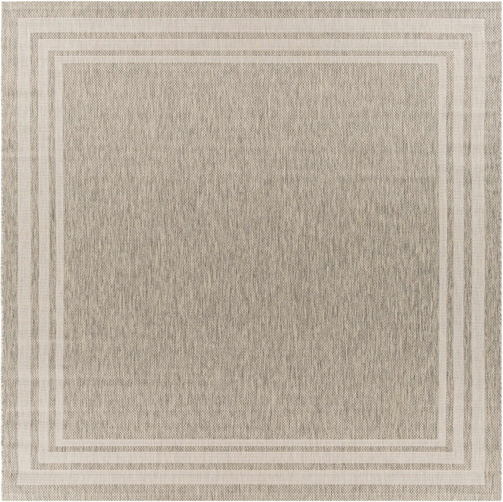 Solid Beige and Ivory Indoor and Outdoor Multi size Area Rug - The Rug Decor