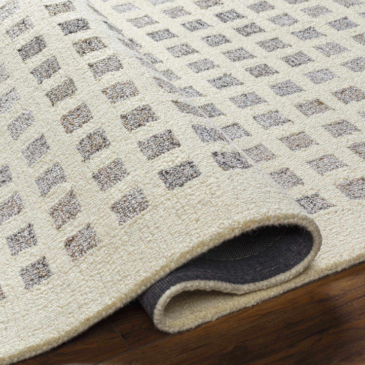 Harib Modern Style Beige And Gray Hand Tufted Wool Area Rug