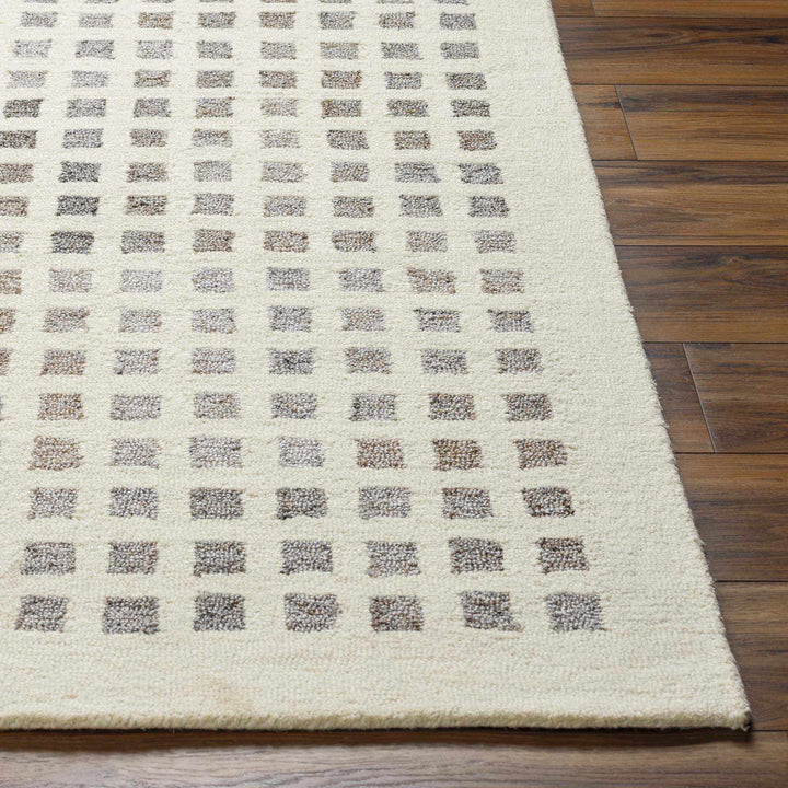 Harib Modern Style Beige And Gray Hand Tufted Wool Area Rug