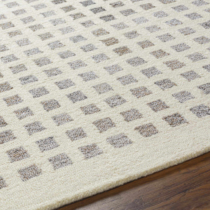 Harib Modern Style Beige And Gray Hand Tufted Wool Area Rug