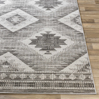 Southwestern Design Ivory and Charcoal Design area rug - The Rug Decor