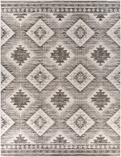 Southwestern Design Ivory and Charcoal Design area rug - The Rug Decor