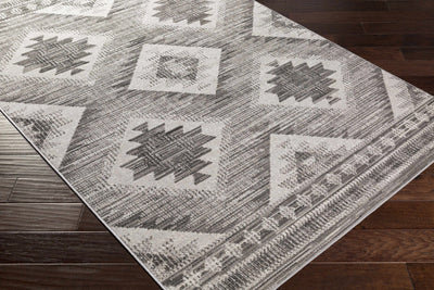 Southwestern Design Ivory and Charcoal Design area rug - The Rug Decor