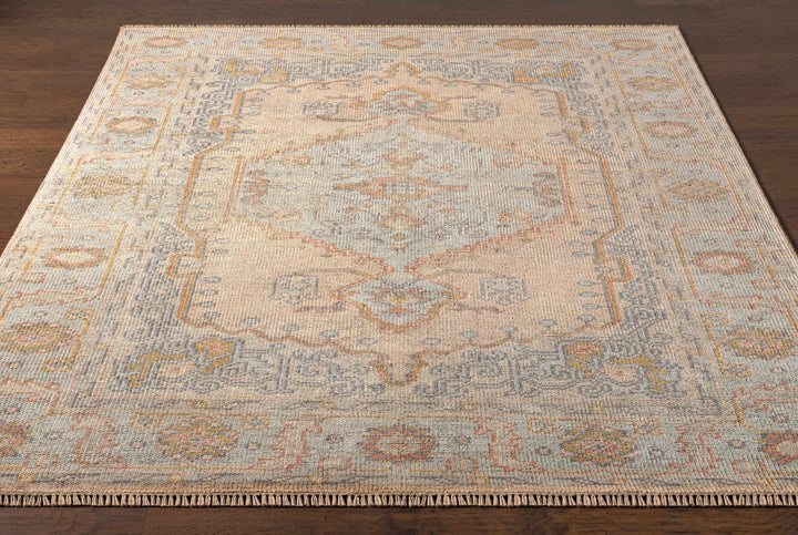 Soyung Hand Knotted Traditional Beige And Gray Rug - The Rug Decor