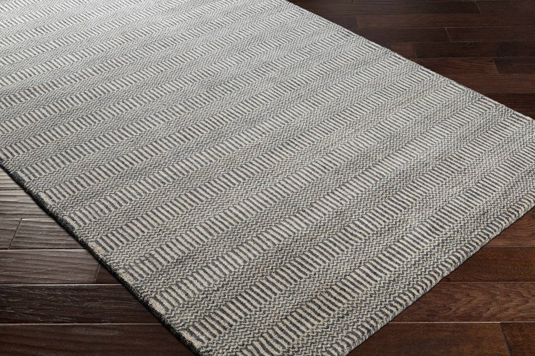 Spencerport Contemporary Style Beige And Gray Hand Loomed Area Rug