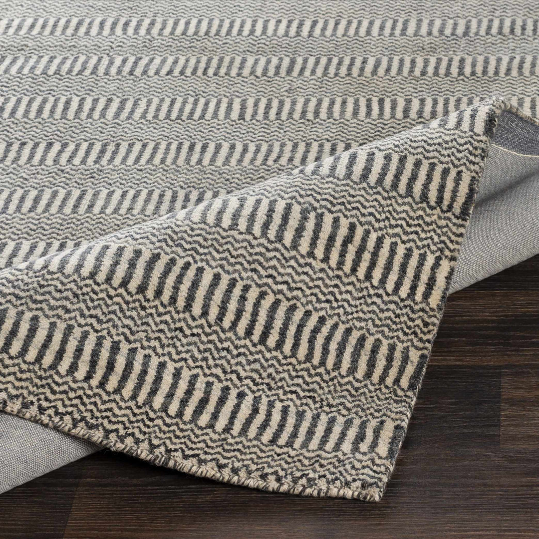 Spencerport Contemporary Style Beige And Gray Hand Loomed Area Rug