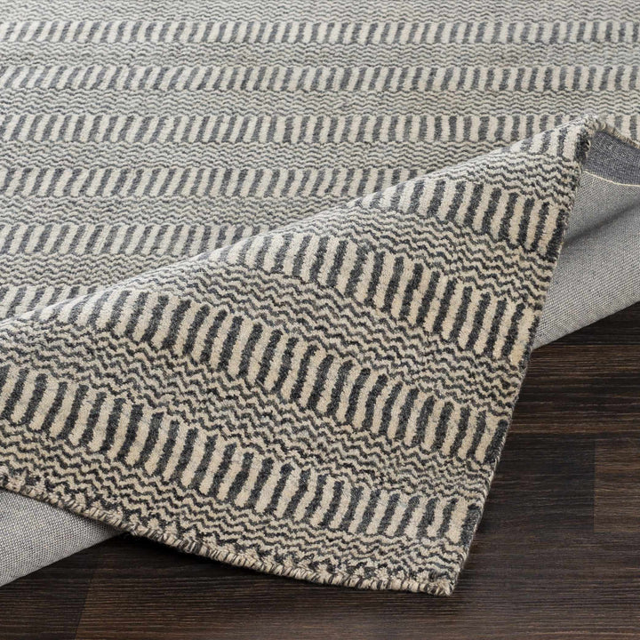 Spencerport Contemporary Style Beige And Gray Hand Loomed Area Rug