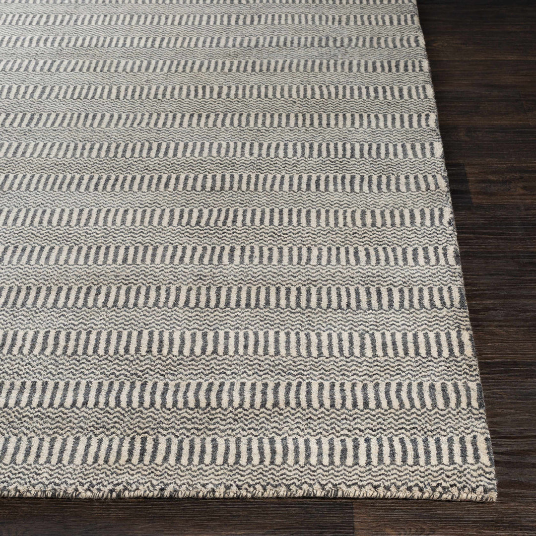 Spencerport Contemporary Style Beige And Gray Hand Loomed Area Rug