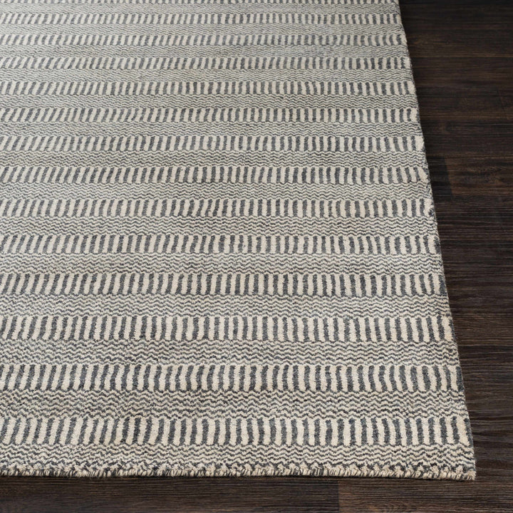 Spencerport Contemporary Style Beige And Gray Hand Loomed Area Rug