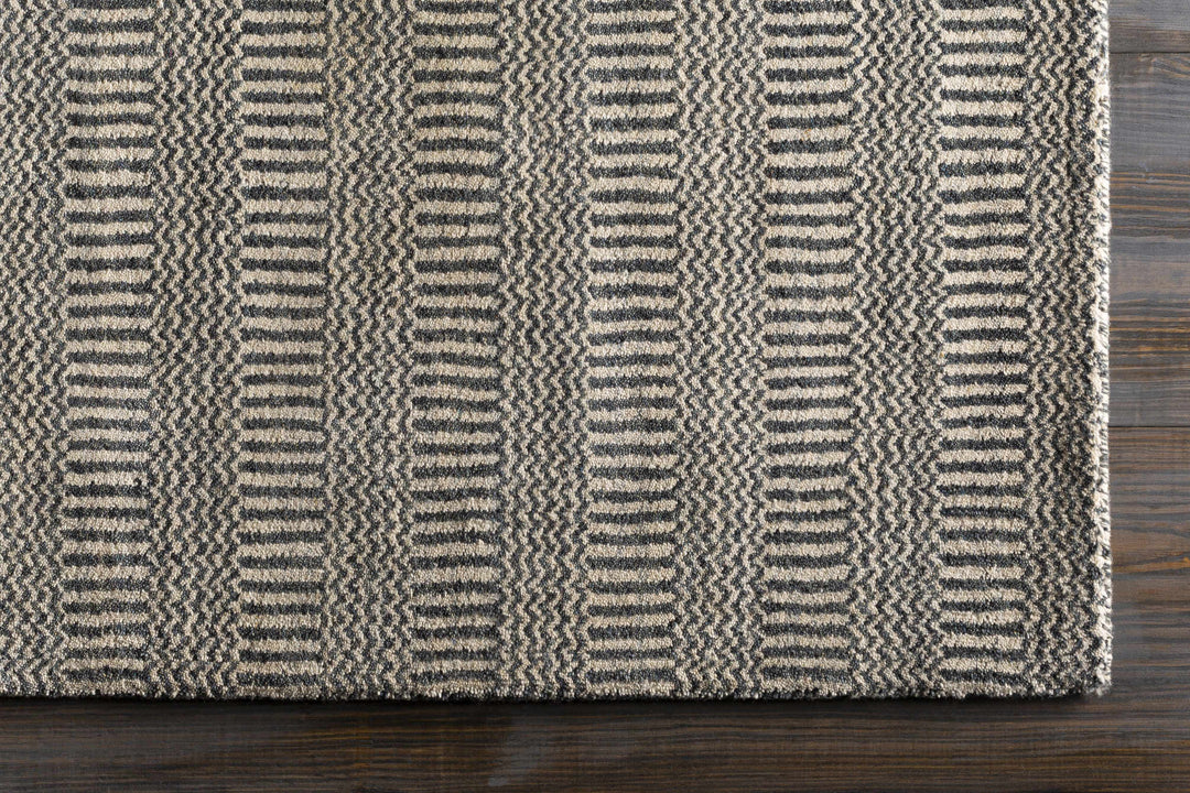Spencerport Contemporary Style Beige And Gray Hand Loomed Area Rug