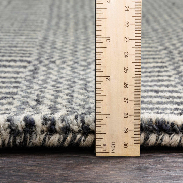 Spencerport Contemporary Style Beige And Gray Hand Loomed Area Rug