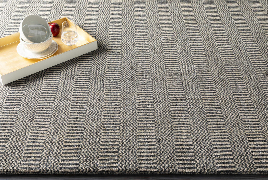 Spencerport Contemporary Style Beige And Gray Hand Loomed Area Rug