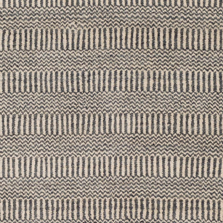 Spencerport Contemporary Style Beige And Gray Hand Loomed Area Rug