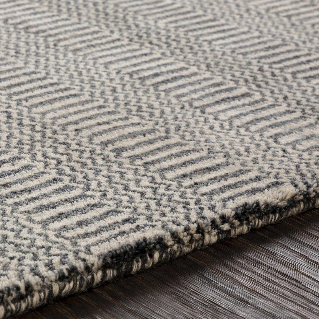 Spencerport Contemporary Style Beige And Gray Hand Loomed Area Rug