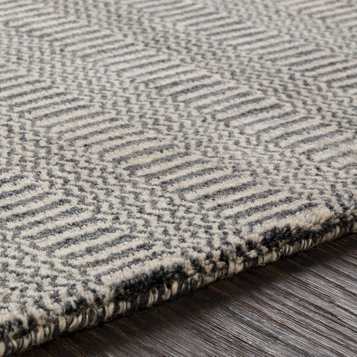Spencerport Contemporary Style Beige And Gray Hand Loomed Area Rug