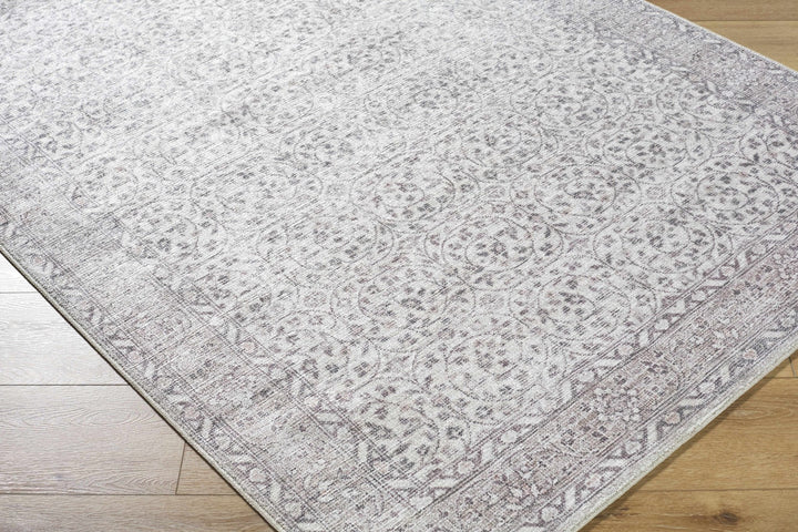 Spokane Traditional Ivory And Brown Area Rug - The Rug Decor