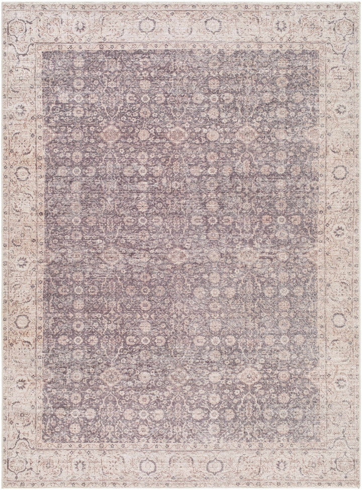 Spokane Traditional Style Brown And Beige Area Rug - The Rug Decor