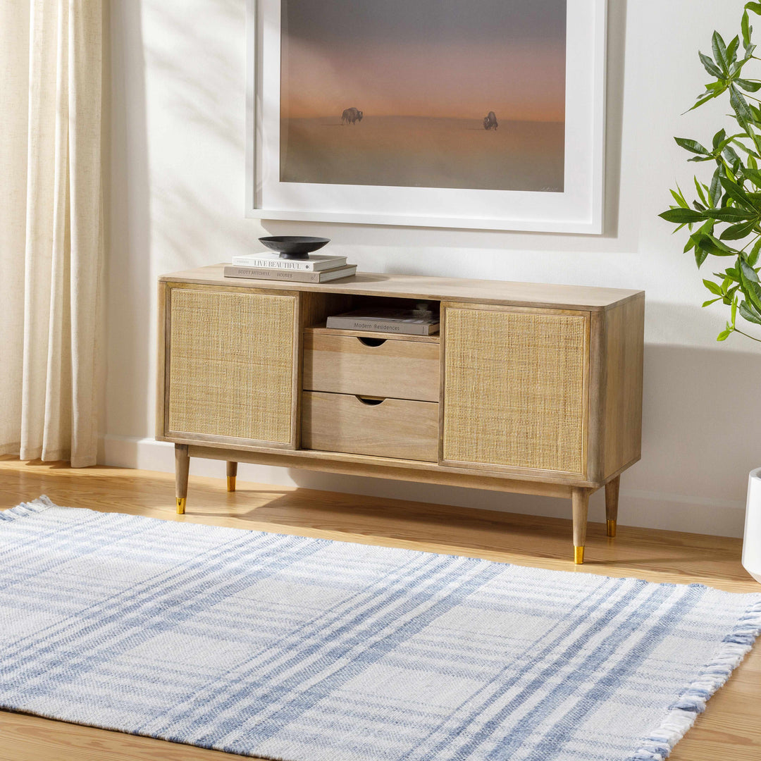 Inara Contemporary Style Blue And White Area Rug