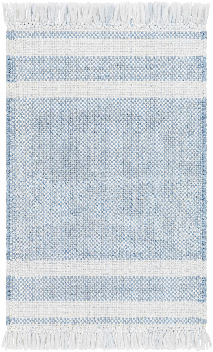 Loic Blue Contemporary Style Hand Woven Area Rug