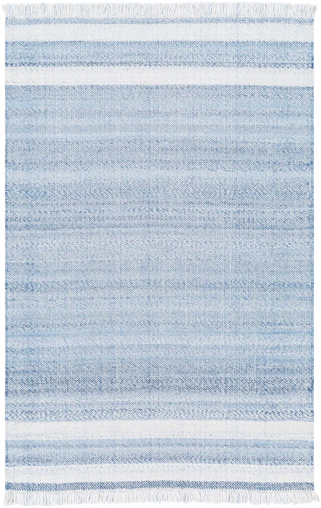 Loic Blue Contemporary Style Hand Woven Area Rug