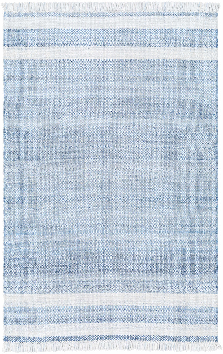 Loic Blue Contemporary Style Hand Woven Area Rug