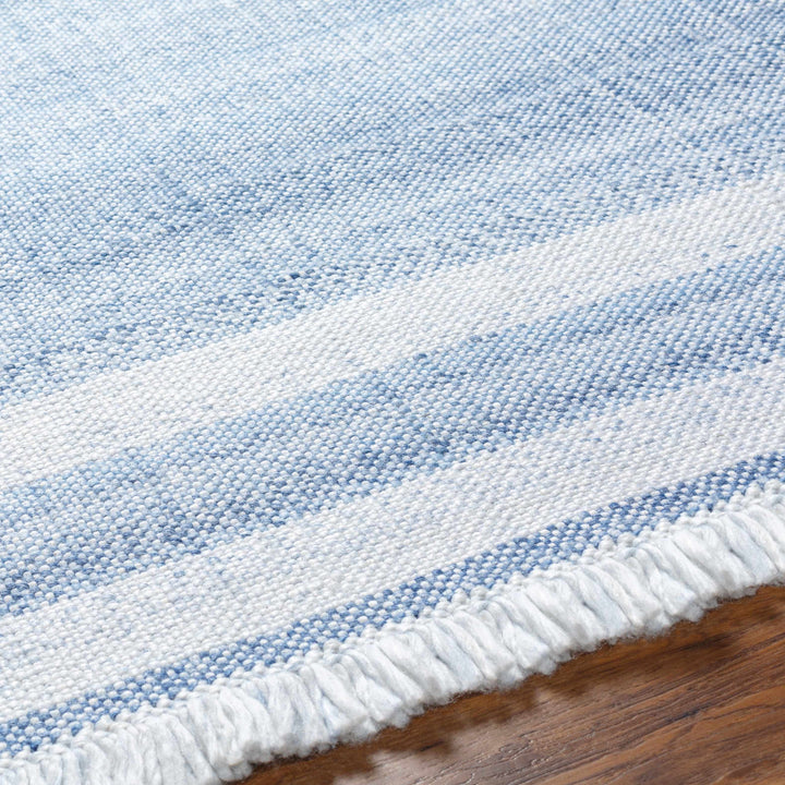 Loic Blue Contemporary Style Hand Woven Area Rug