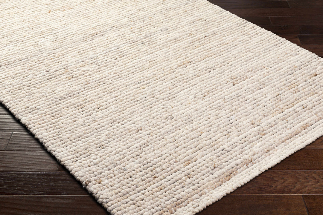 Olisa Modern Style Beige Hand Woven Wool Area Rug
