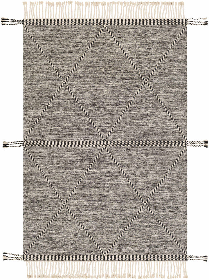 Spottswood Black And Ivory Modern Style Hand Woven Area Rug