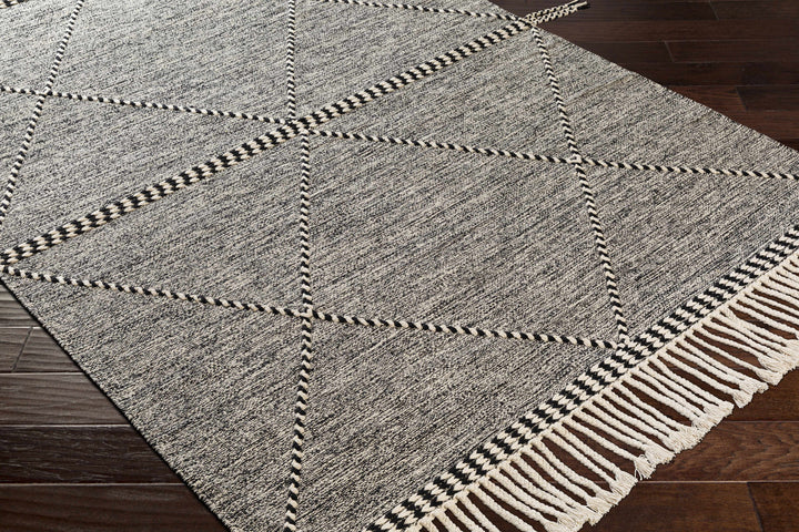 Spottswood Black And Ivory Modern Style Hand Woven Area Rug