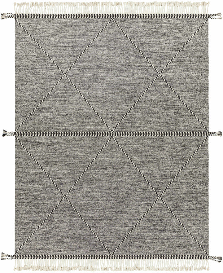 Spottswood Black And Ivory Modern Style Hand Woven Area Rug