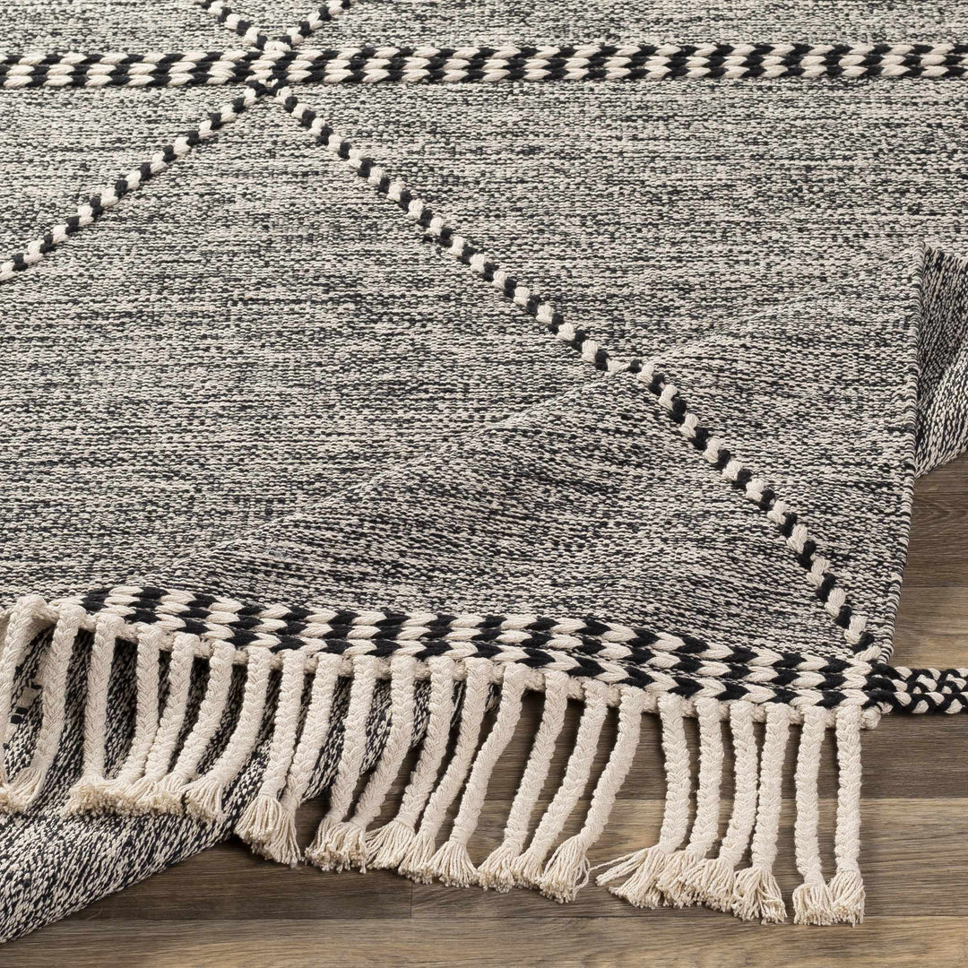 Spottswood Black And Ivory Modern Style Hand Woven Area Rug