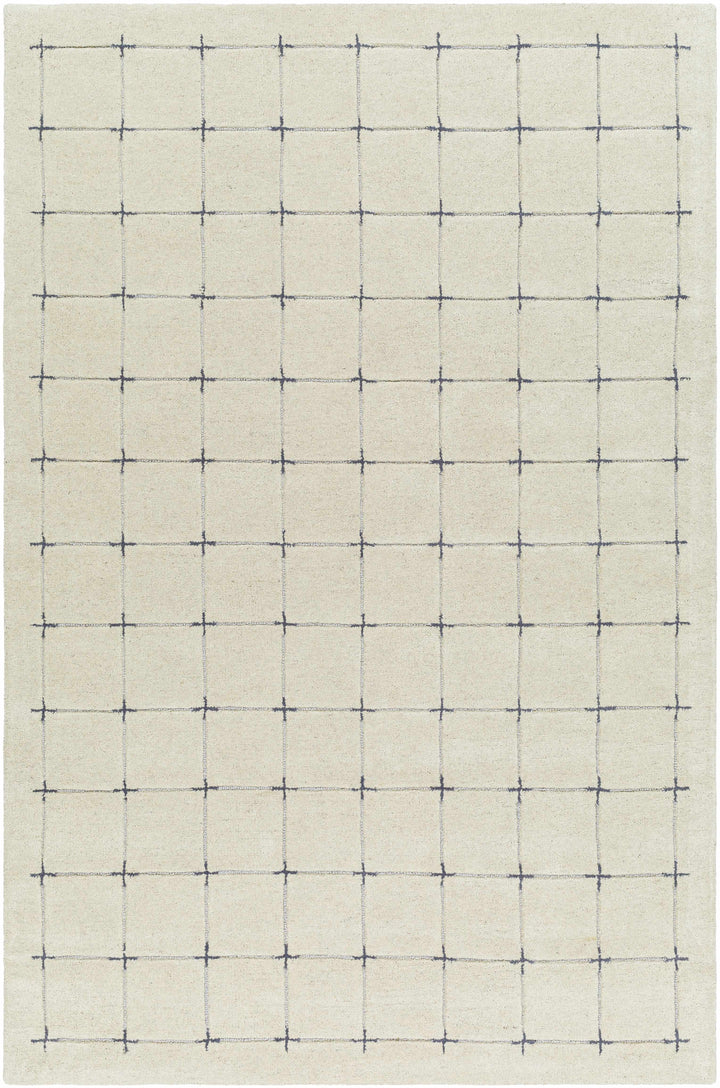 Sanvi Beige And Charcoal Contemporary Style Hand Tufted Area Rug