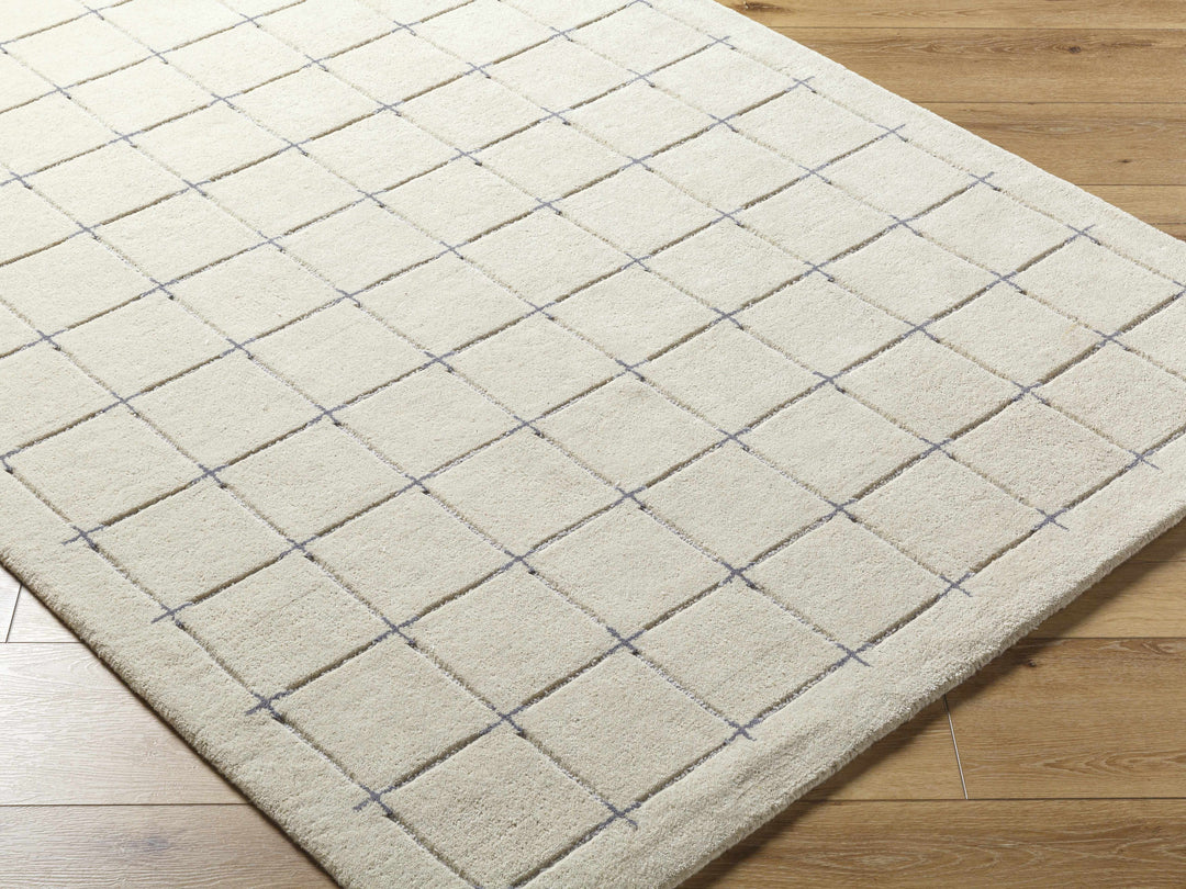 Sanvi Beige And Charcoal Contemporary Style Hand Tufted Area Rug