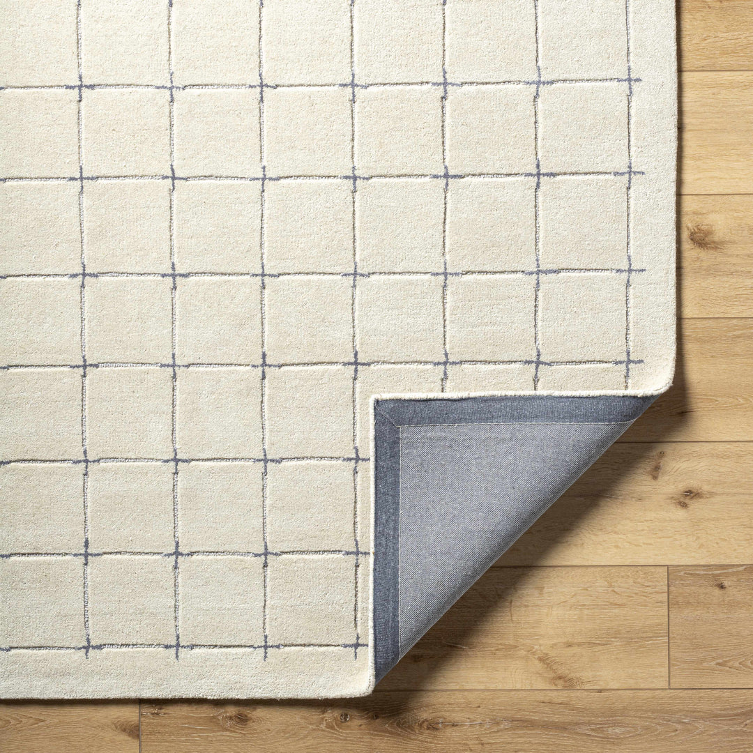Sanvi Beige And Charcoal Contemporary Style Hand Tufted Area Rug