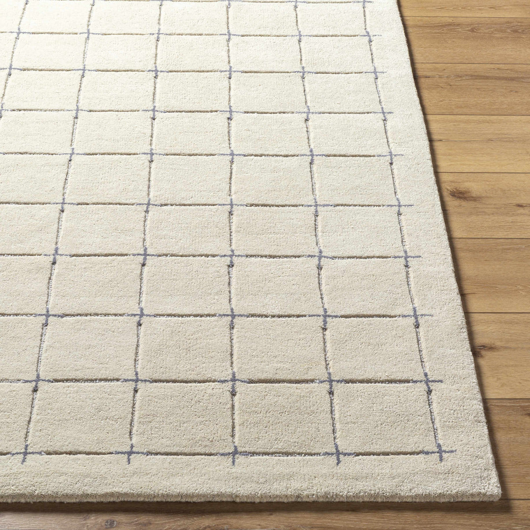 Sanvi Beige And Charcoal Contemporary Style Hand Tufted Area Rug