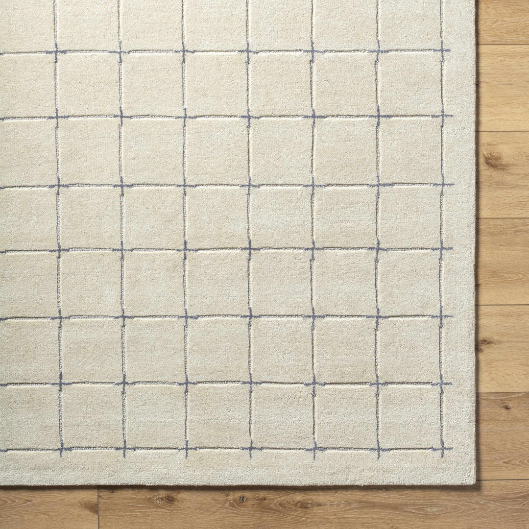 Sanvi Beige And Charcoal Contemporary Style Hand Tufted Area Rug