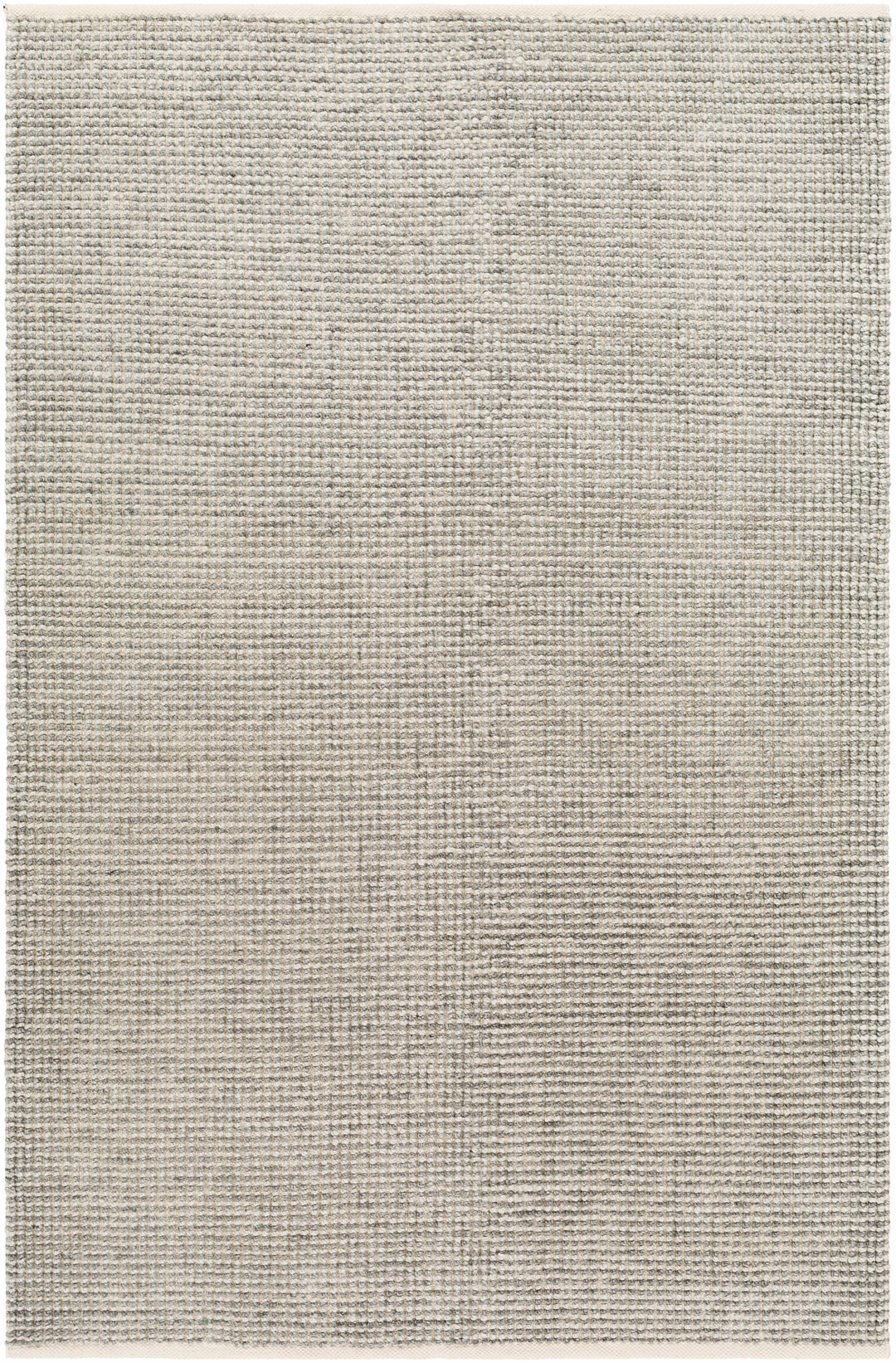 Aiman Contemporary Style Gray Hand Woven Area Rug