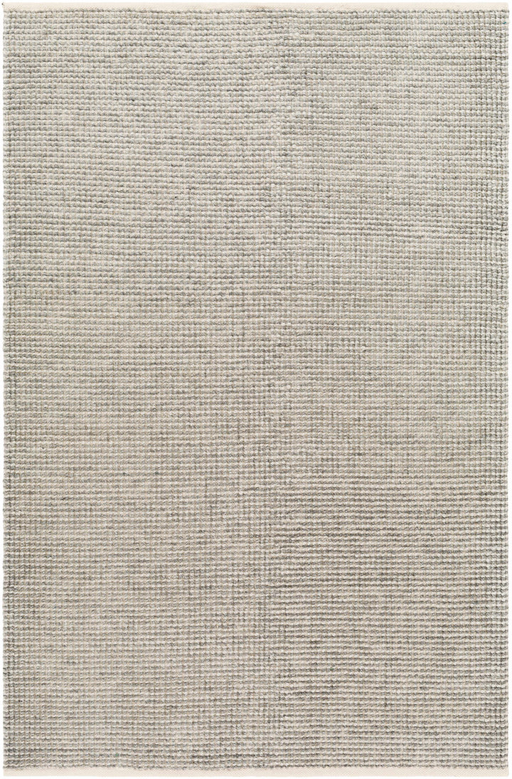 Aiman Contemporary Style Gray Hand Woven Area Rug