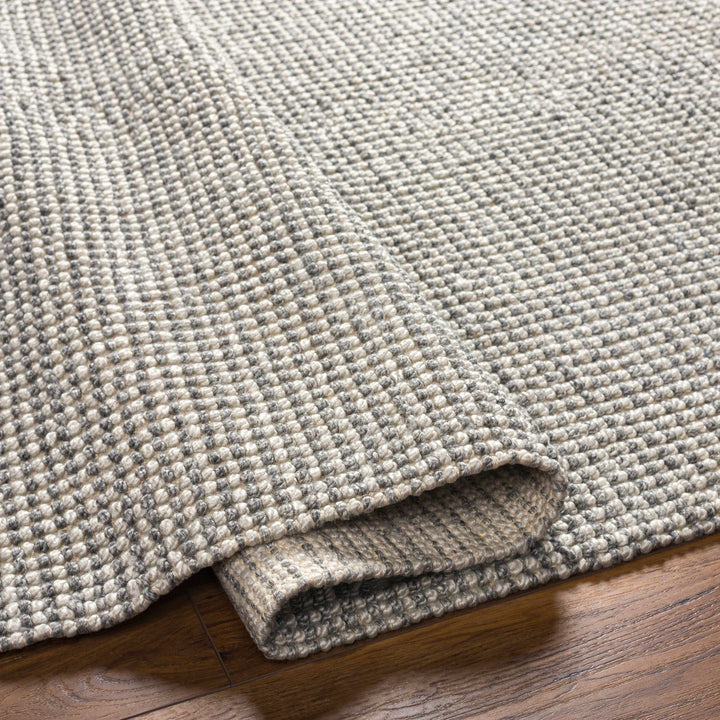 Aiman Contemporary Style Gray Hand Woven Area Rug