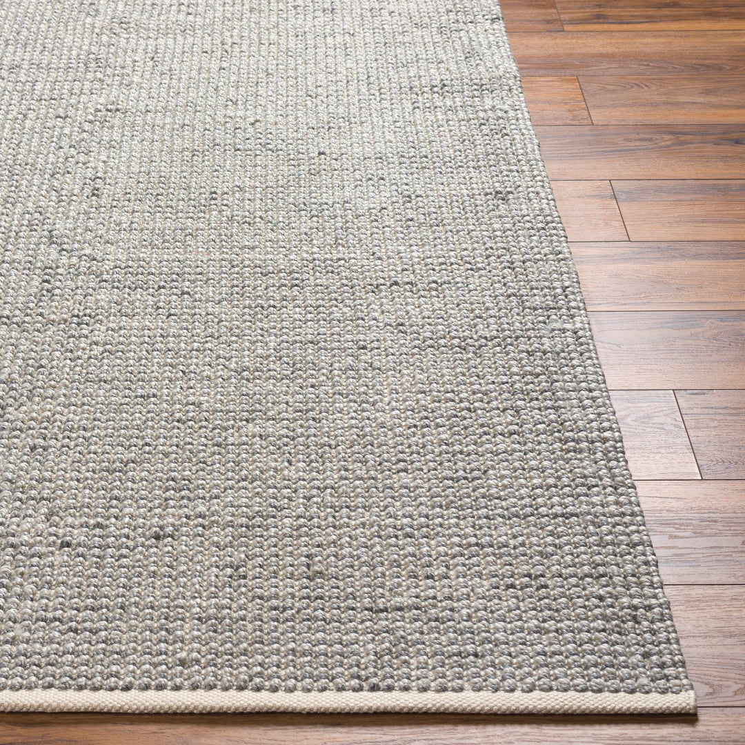 Aiman Contemporary Style Gray Hand Woven Area Rug