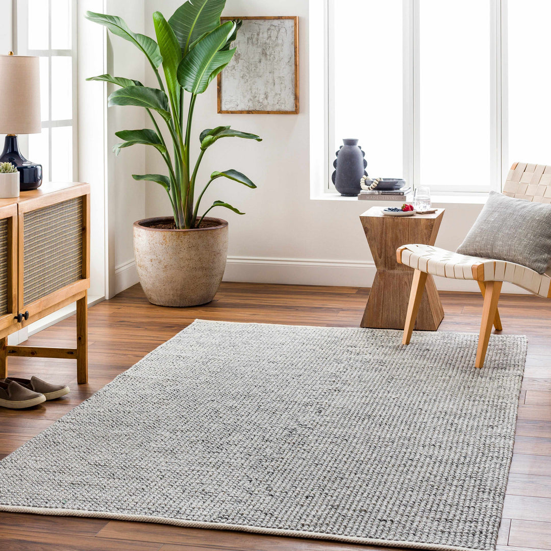 Aiman Contemporary Style Gray Hand Woven Area Rug