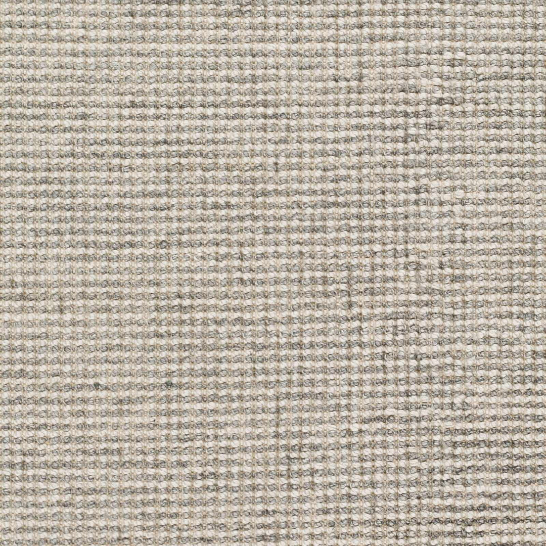 Aiman Contemporary Style Gray Hand Woven Area Rug