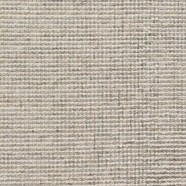 Aiman Contemporary Style Gray Hand Woven Area Rug