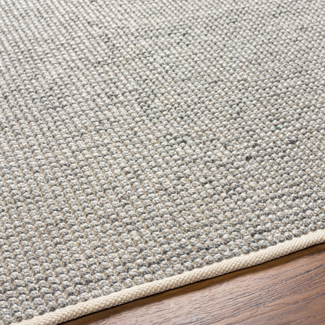 Aiman Contemporary Style Gray Hand Woven Area Rug