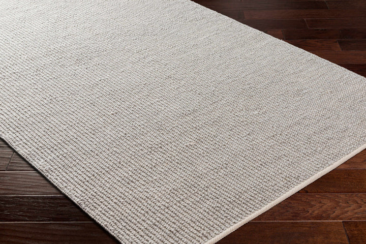 Blaga Modern Solid Design Gray Hand Woven Area Rug