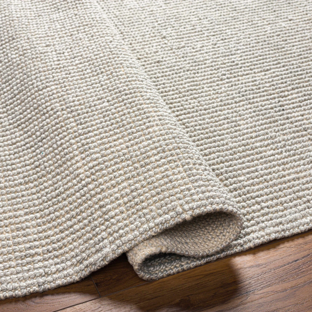 Blaga Modern Solid Design Gray Hand Woven Area Rug