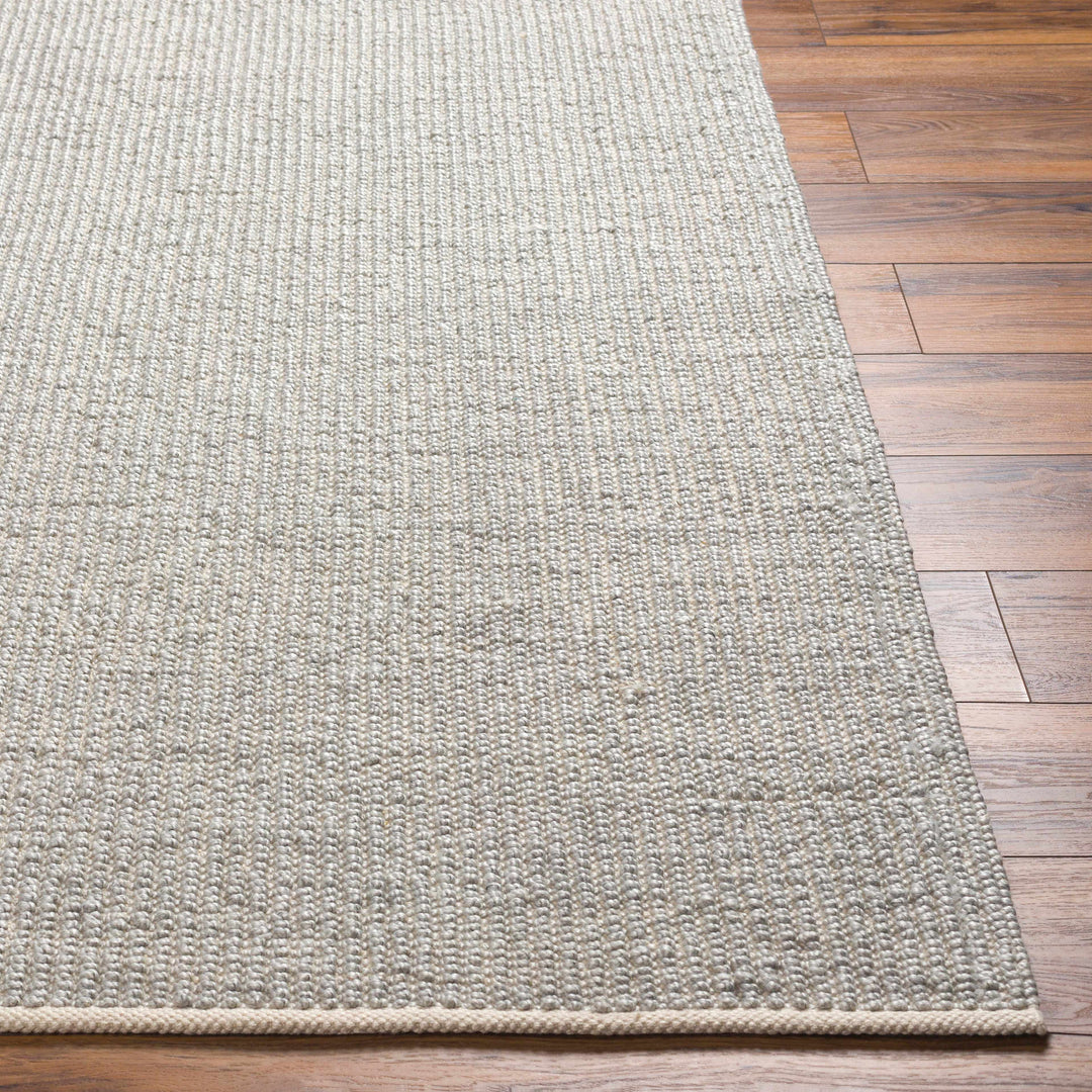 Blaga Modern Solid Design Gray Hand Woven Area Rug